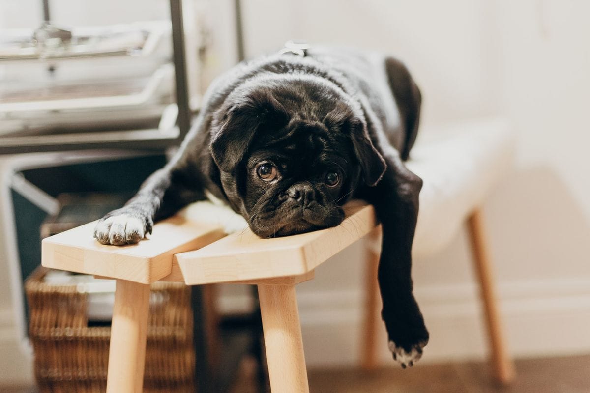 5 Things Your Laziness Is Trying to Tell You